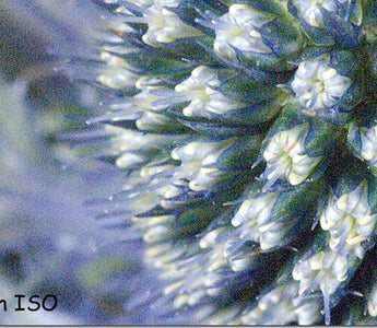 Understanding ISO