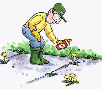 Weeds and Weed Control