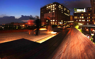 The High Line & New York Urban Gardening