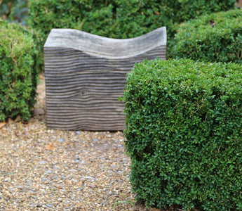 How to grow the perfect hedge: surrounding, dividing and enhancing your garden the greener way