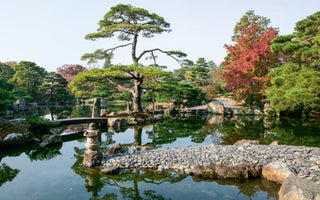 Historic Garden Elements and Styles
