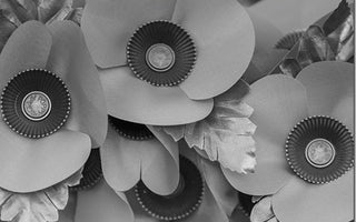 Black & White Photography Filters