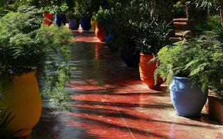 Jardin Majorelle. Marrakech - Moroccan Magic