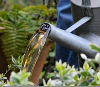 Feeding Plants: Manures & Fertilizers
