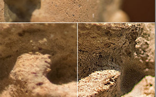 Taking Control of Contrast, Saturation and Sharpness