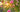Blooming Marvellous Photos