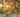 Blooming Marvellous Photos