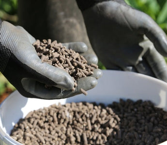 How to feed your plants &ndash; give them a balanced fertiliser