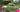 How to make a raised bed, construct steps, build a retaining wall and landscape your garden