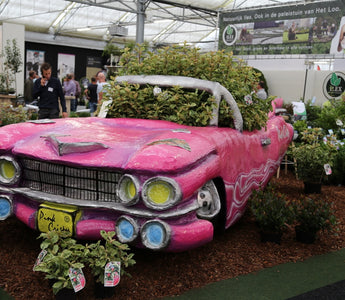 Plantarium 2015: The world&rsquo;s biggest garden plant event