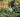 Companion Planting: Flowers To Grow With Vegetables