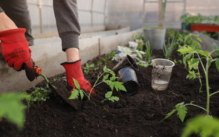 What qualifications does a gardener need?