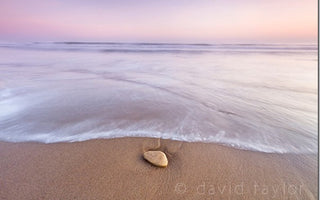 The Decisive Moment: When to Press the Shutter Button