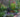 How to plant the perfect border – Gardenonaroll