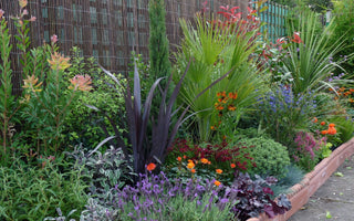 How to plant the perfect border – Gardenonaroll
