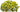 10 Best Plants For Hanging Basket