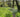 Beautiful Spring Gardens to Visit