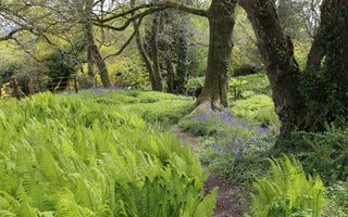 Beautiful Spring Gardens to Visit