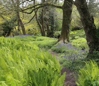 Beautiful Spring Gardens to Visit