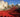 Poppies at the Tower: Blood Swept Lands and Seas of Red
