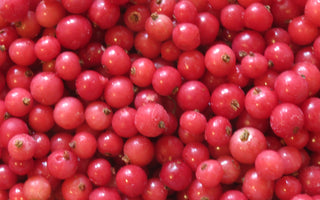 Fruit for little gardens