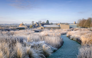 Secrets to using grasses beautifully in the garden