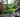 Choosing and placing a feature in your garden
