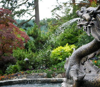 Choosing and placing a feature in your garden