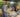 River Cottage Cooking Diploma: Behind the scenes