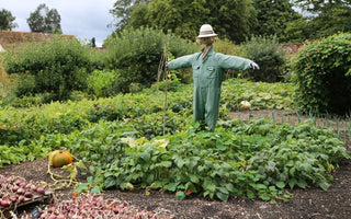 Gardens to visit: Hinton Ampner: A masterpiece of 20th Century Design