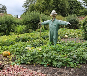 Gardens to visit: Hinton Ampner: A masterpiece of 20th Century Design