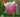 A Photographers Diary: Monet's Garden