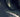 Identify the mystery garden photo... - we just made it easier!!  (win a gardening course worth £145/$230)