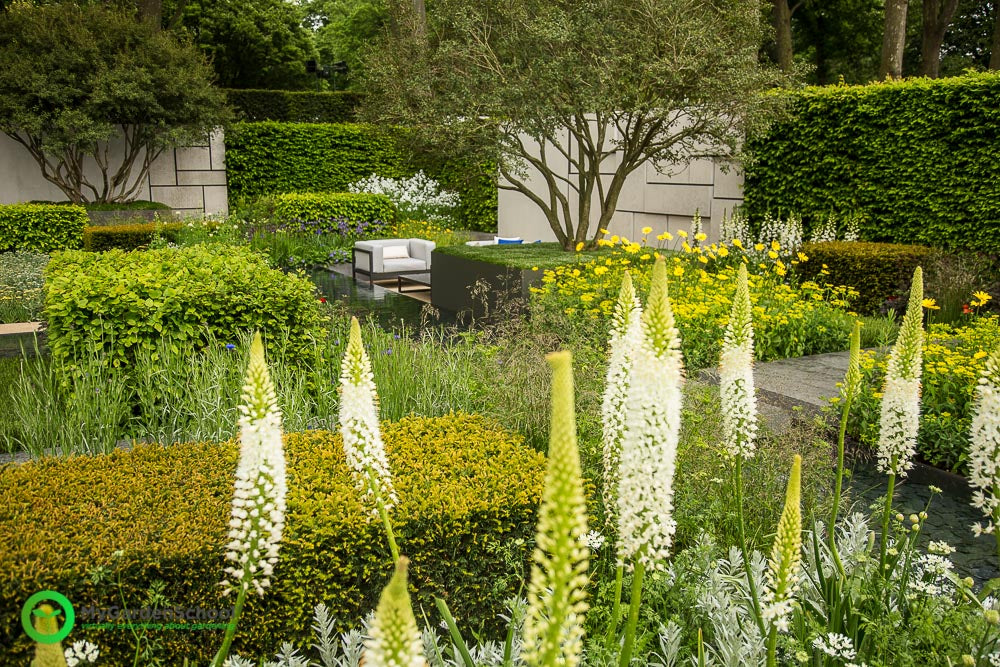 The Telegraph Garden The Chelsea Flower Show 2015 Learning with