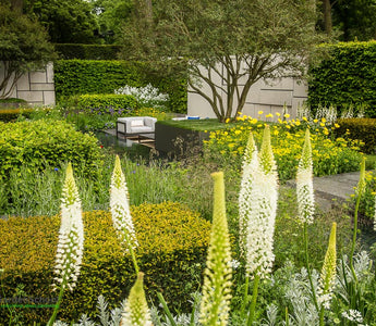 The Telegraph Garden The Chelsea Flower Show 2015