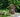 The hidden gardens of Granada - Islamic influence and shady garden inspiration