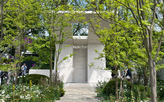 Looking Back at the Chelsea Flower Show: A New Chapter in Sustainable Gardening