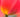 Spring Flowers For Colour Lovers