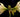 Light Up the Festive Season Now: Plant Indoor Bulbs for Christmas