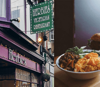 Eating Vegan Food Outside the Home – A Brave Adventure