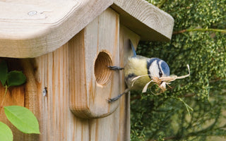 The World’s First Online Gardening for Wildlife Course