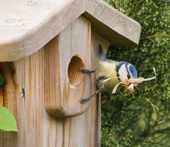 The World’s First Online Gardening for Wildlife Course
