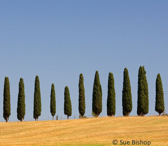 Landscape Photography: Looking for Abstract Patterns in Nature