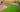 The Pros & Cons of Artificial Grass