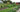 Vegetable Gardening: Understanding Crop Rotation