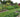 Vegetable Gardening: Understanding Crop Rotation
