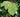 Natural hedging for wildlife