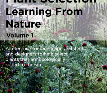 PRESS RELEASE: MYGARDENSCHOOL FIRST E-BOOK WITH TUTOR DR NOEL KINGSBURY
