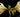 Amazing Amaryllis Bulbs - Getting your amaryllis to rebloom