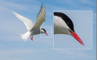 5 Common Photographic Mistakes to Avoid